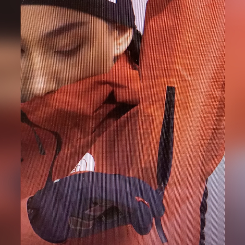 The North Face Summit Series HYVENT Alpha PRIMALOFT Hooded Orange Jacket Large - Picture 4 of 17